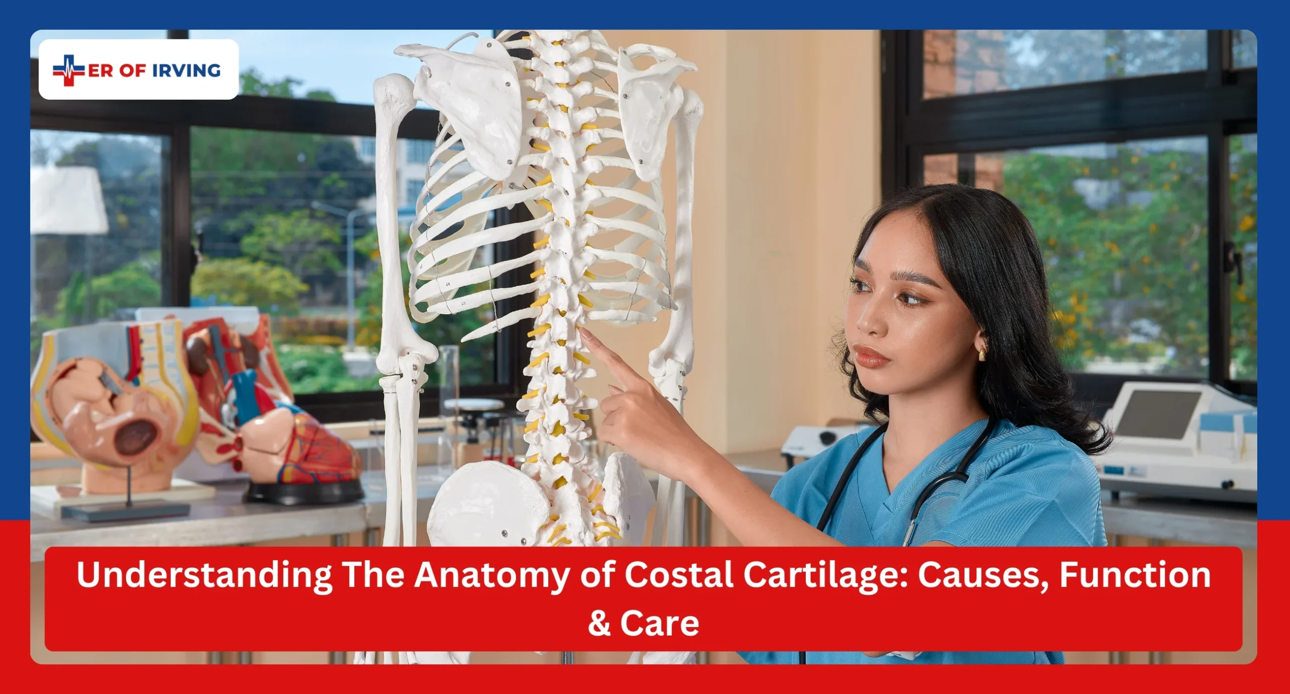Understanding The Anatomy of Costal Cartilage