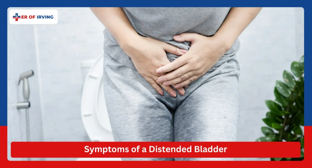 Emergency Care for a Distended Bladder at ER of Irving 1 Emergency Care for a Distended Bladder at ER of Irving Symptoms of a Distended Bladder