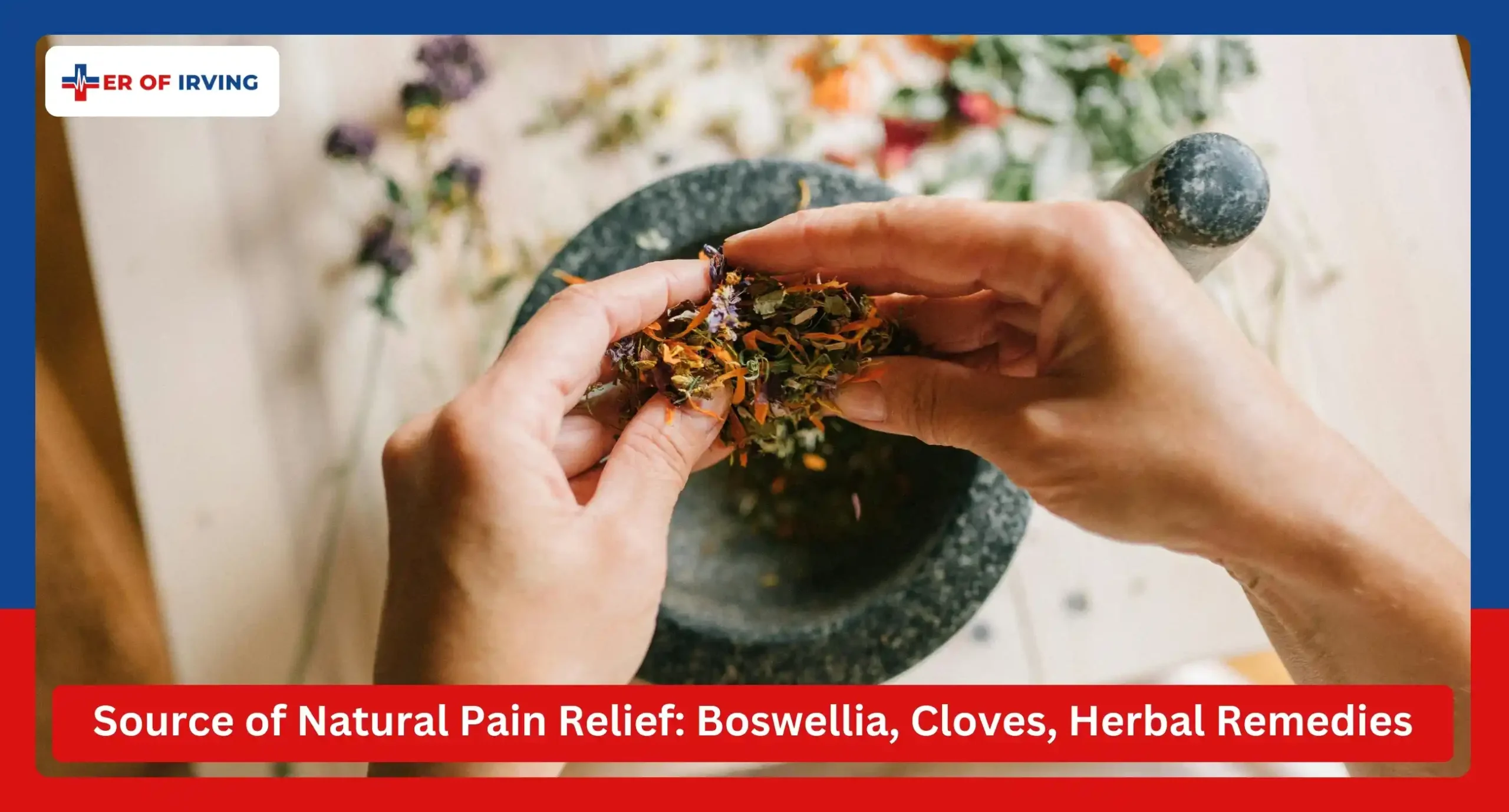Source of Natural Pain Relief Boswellia, Cloves, and Herbal Remedies